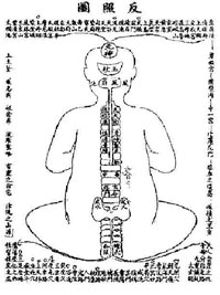 backbone