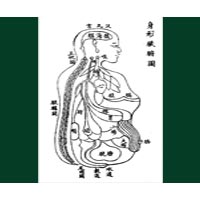 fertility